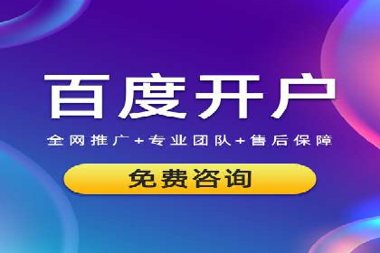 大型SEM服务公司案例分析